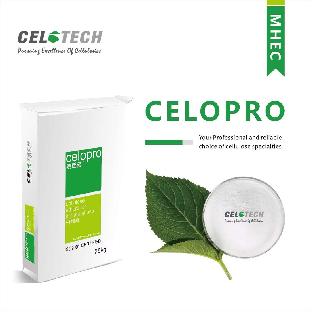 WhatsApp Image 2026-01-06 at 10.28.09 PM (14)